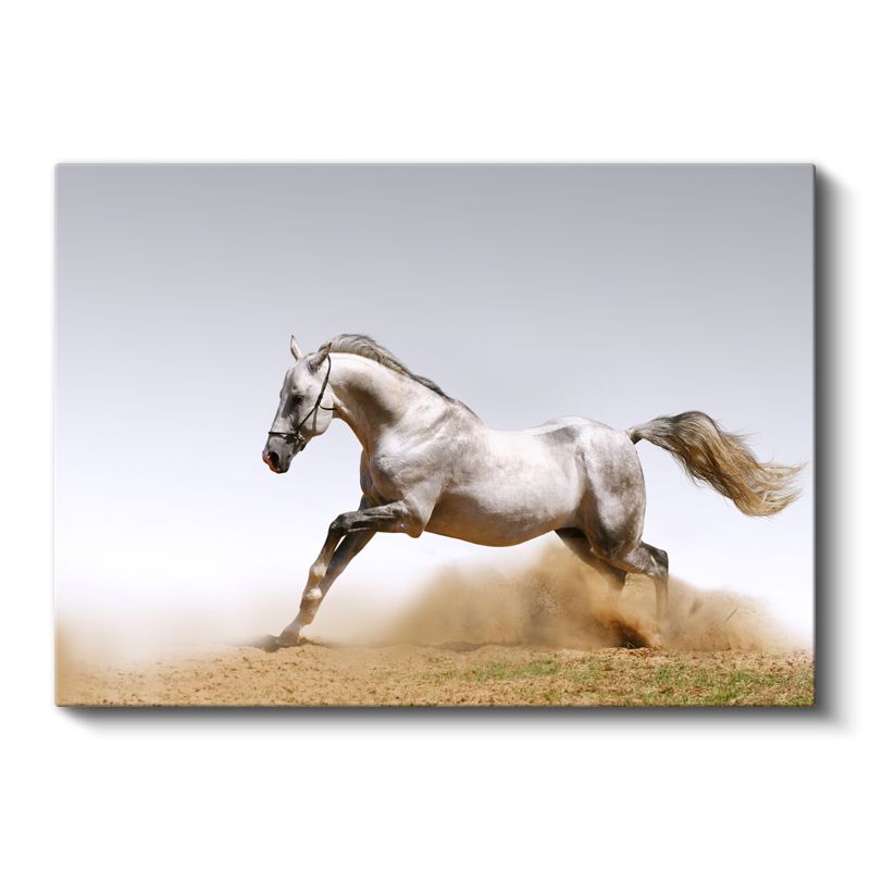 Beyaz At - Kumda Dans Eden Asil Ruh Kanvas Tablo