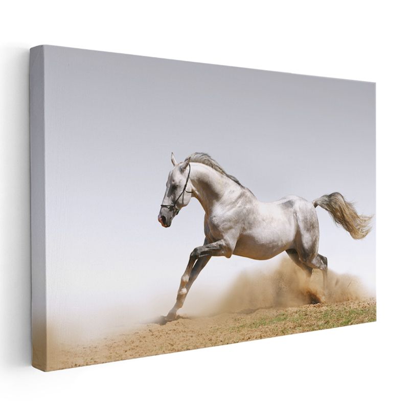 Beyaz At - Kumda Dans Eden Asil Ruh Kanvas Tablo