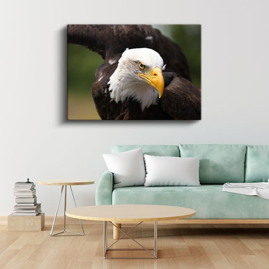 Kel Kartal - Keskin Bakışlı Özgürlük Simgesi Kanvas Tablo