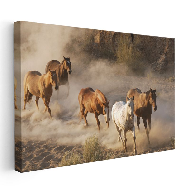 Vahşi Atlar - Tozlu Ovada Özgürce Koşan Sürü Kanvas Tablo