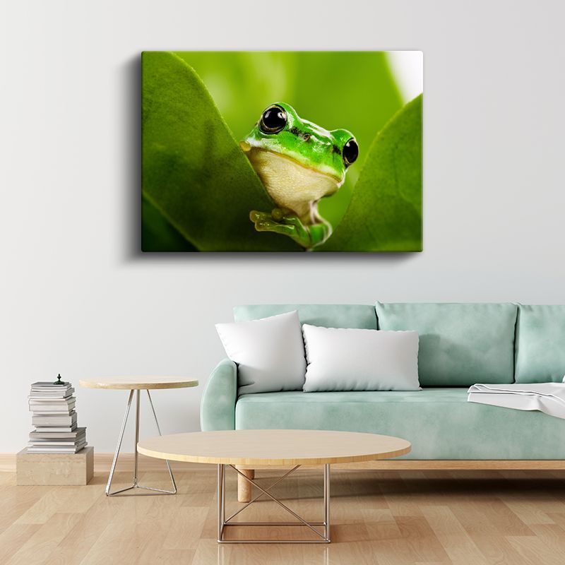 Yaprak Kurbağası - Yeşil Yaprakta Sakin Bekleyiş Kanvas Tablo