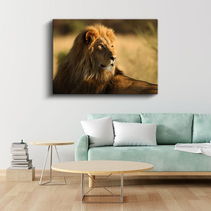 Aslan Portresi - Altın Yeleli Savanların Kralı Kanvas Tablo