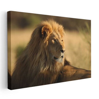 Aslan Portresi - Altın Yeleli Savanların Kralı Kanvas Tablo