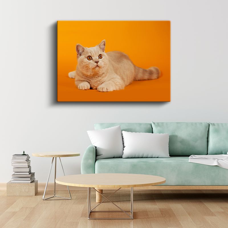Krem Kedi - Turuncu Zeminde Zarif Duruş Kanvas Tablo