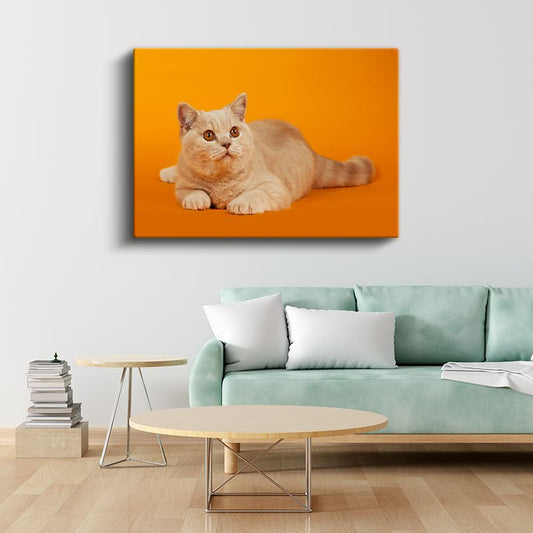 Krem Kedi - Turuncu Zeminde Zarif Duruş Kanvas Tablo