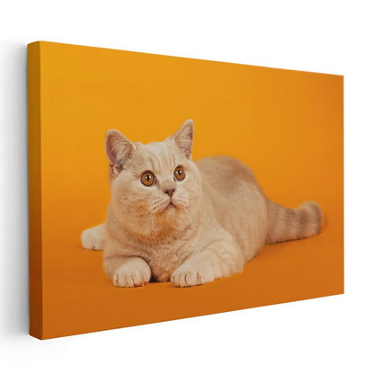 Krem Kedi - Turuncu Zeminde Zarif Duruş Kanvas Tablo