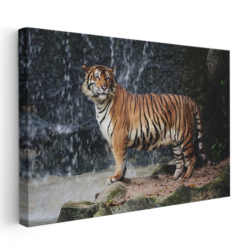 Bengal Kaplanı - Şelale Önünde Heybetli Duruş Kanvas Tablo