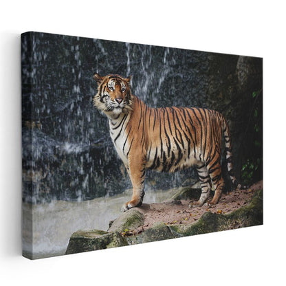 Bengal Kaplanı - Şelale Önünde Heybetli Duruş Kanvas Tablo