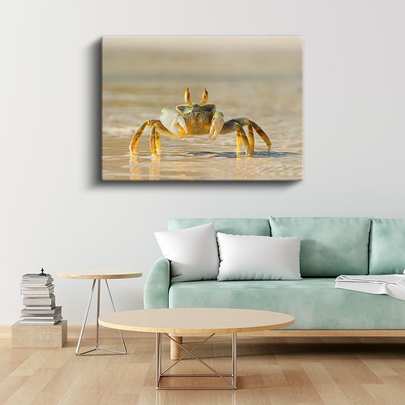 Kumsal Yengeci - Sığ Sularda Yürüyüş Kanvas Tablo