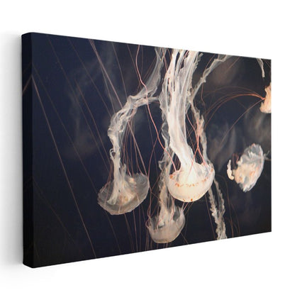 Denizanaları - Derin Sularda Zarif Dans Kanvas Tablo