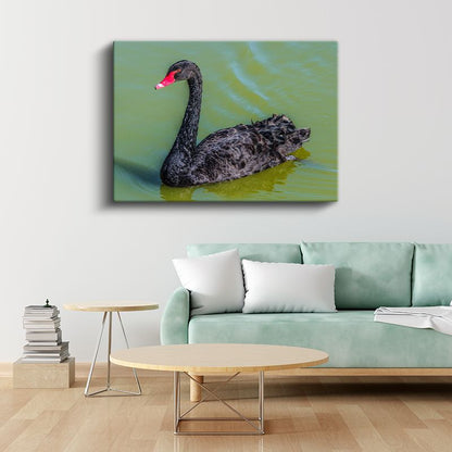 Siyah Kuğu - Yeşil Suda Zarif Yüzüş Kanvas Tablo