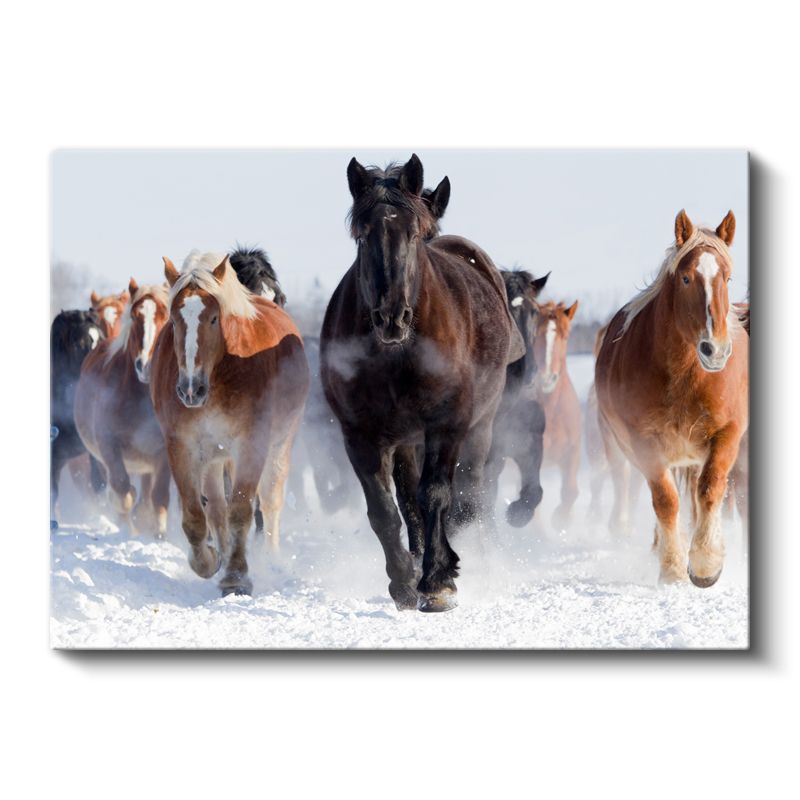 Kış Atları - Karlı Ovada Koşan Özgür Sürü Kanvas Tablo