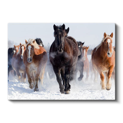 Kış Atları - Karlı Ovada Koşan Özgür Sürü Kanvas Tablo