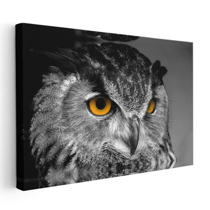 Puhu Baykuşu - Sarı Gözleriyle Gecenin Avcısı Kanvas Tablo