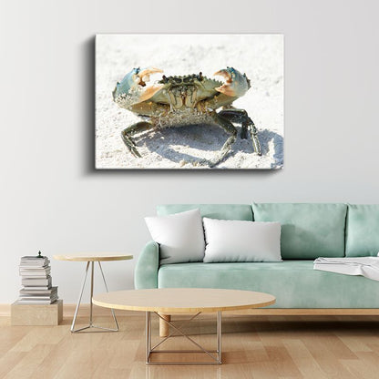Mavi Yengeç - Beyaz Kumda Savunma Pozisyonu Kanvas Tablo