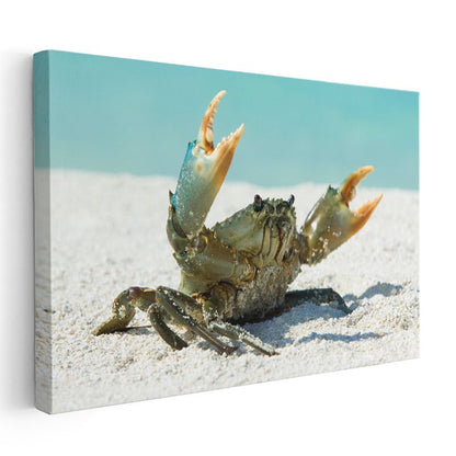 Sahil Yengeci - Kıskaçlarını Kaldırmış Cesur Duruş Kanvas Tablo