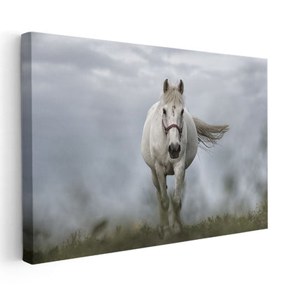 Beyaz At - Sisli Çayırda Asil Yürüyüş Kanvas Tablo