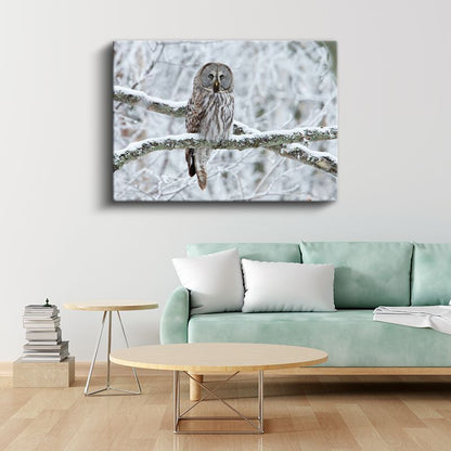 Kış Baykuşu - Karlı Dalda Sessiz Gözlemci Kanvas Tablo
