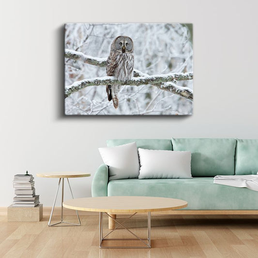 Kış Baykuşu - Karlı Dalda Sessiz Gözlemci Kanvas Tablo