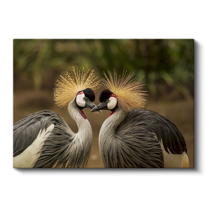 Taçlı Turnalar - Karşılıklı Duran Zarif İkili Kanvas Tablo