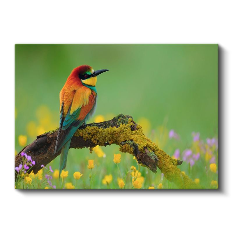 Arı Yiyen Kuşu - Çiçekli Dalda Renkli Tüyler Kanvas Tablo