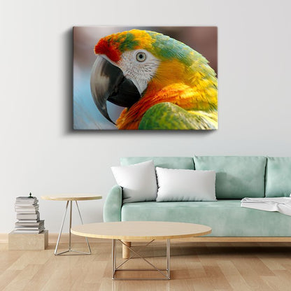 Ara Papağanı - Renkli Tüyleriyle Yakın Portre Kanvas Tablo