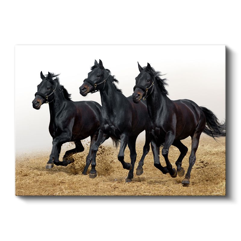 Siyah Atlar - Kumda Koşan Özgür Üçlü Kanvas Tablo