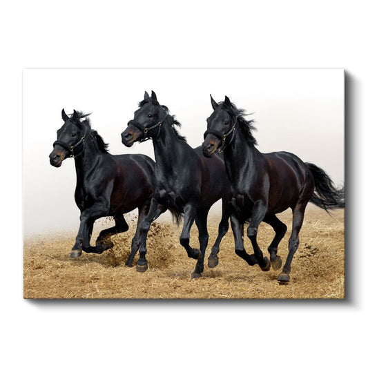 Siyah Atlar - Kumda Koşan Özgür Üçlü Kanvas Tablo