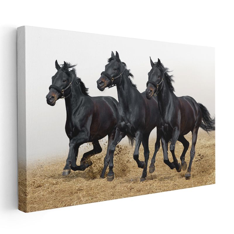Siyah Atlar - Kumda Koşan Özgür Üçlü Kanvas Tablo