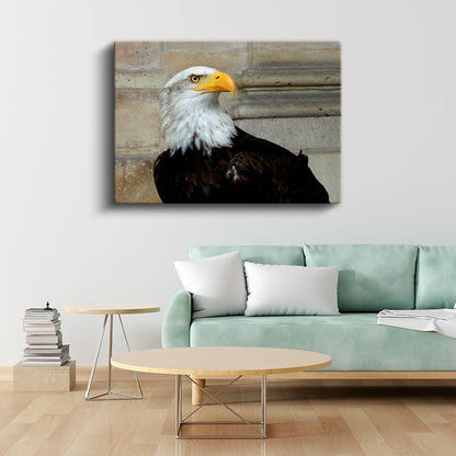 Kel Kartal - Keskin Bakışlı Özgürlük Simgesi Kanvas Tablo