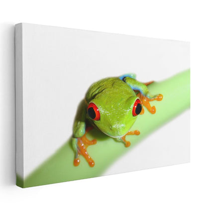 Ağaç Kurbağası - Yeşil Dalda Turuncu Ayaklı Dost Kanvas Tablo