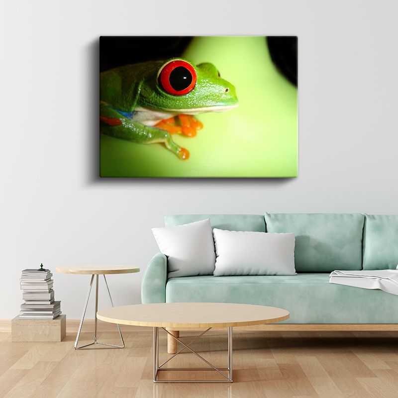 Kırmızı Gözlü Kurbağa - Yaprak Üzerinde Yakın Çekim Kanvas Tablo
