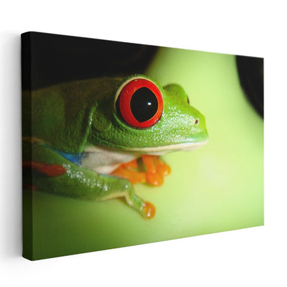 Kırmızı Gözlü Kurbağa - Yaprak Üzerinde Yakın Çekim Kanvas Tablo