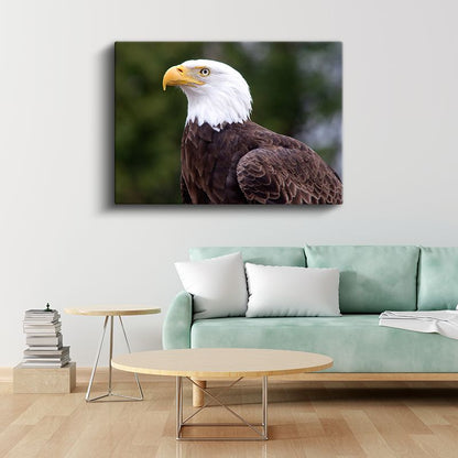Kel Kartal - Keskin Bakışlı Özgürlük Simgesi Kanvas Tablo