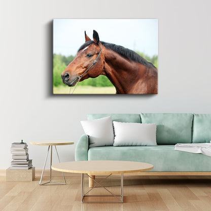 Kahverengi At - Asil Duruşlu Safkan Portresi Kanvas Tablo