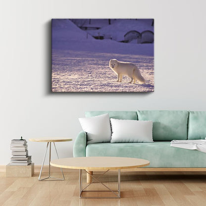 Kutup Tilkisi - Karlı Arazide Beyaz Avcı Kanvas Tablo