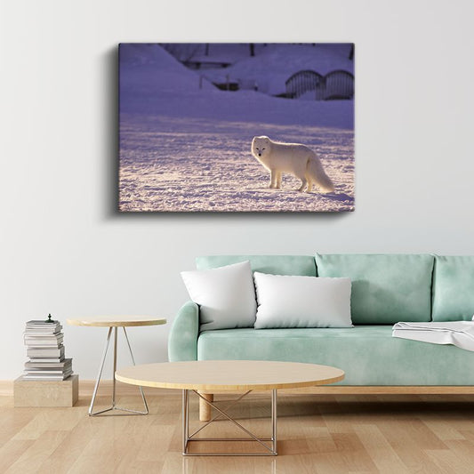 Kutup Tilkisi - Karlı Arazide Beyaz Avcı Kanvas Tablo