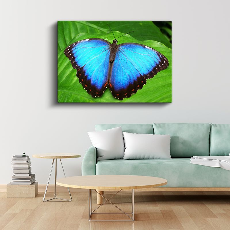Mavi Kelebek - Yaprak Üzerinde Göz Alıcı Kanatlar Kanvas Tablo