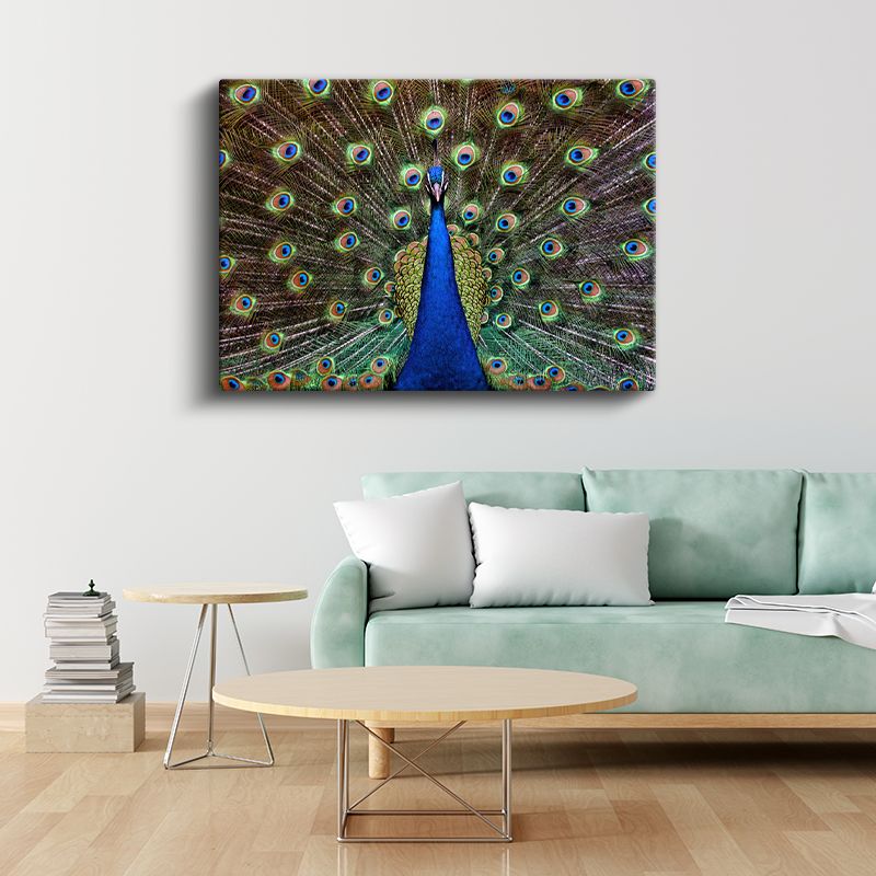 Tavus Kuşu - Gösterişli Tüyleriyle Doğanın Şöleni Kanvas Tablo