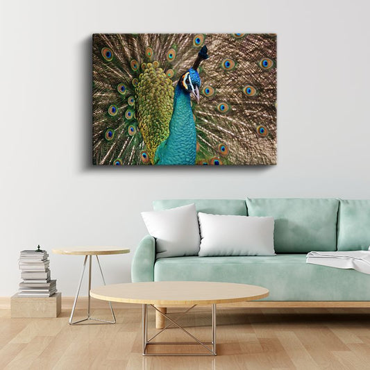 Tavus Kuşu Portresi - Mavi Görkemli Bakışlar Kanvas Tablo