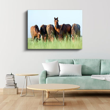 At Sürüsü - Yeşil Çayırda Otlayan Kahverengi Güzeller Kanvas Tablo