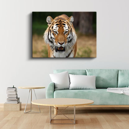 Kaplan Portresi - Vahşi Doğanın Güçlü Avcısı Kanvas Tablo