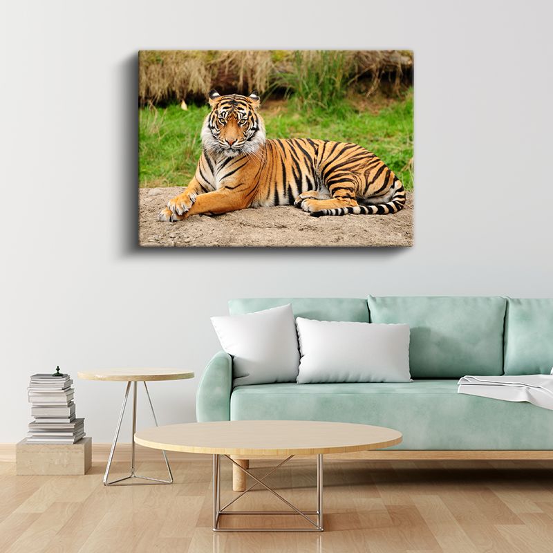 Bengal Kaplanı - Yeşil Çimende Dinlenen Çizgili Güzellik Kanvas Tablo