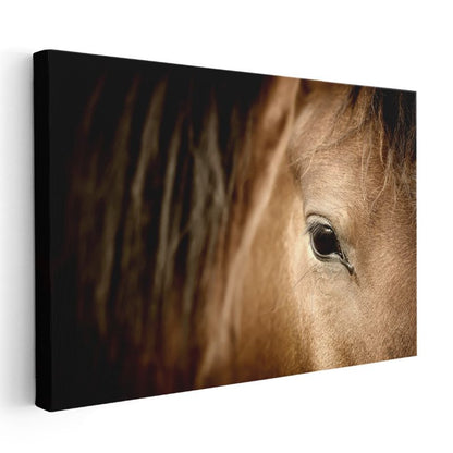 At Gözü - Kahverengi Güzelin Derin Bakışı Kanvas Tablo