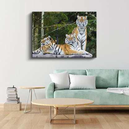 Kaplan Ailesi - Kayalıkta Toplanan Üçlü Kanvas Tablo