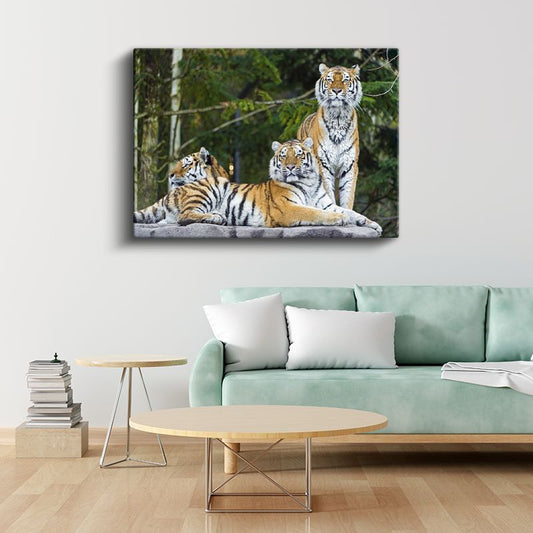 Kaplan Ailesi - Kayalıkta Toplanan Üçlü Kanvas Tablo