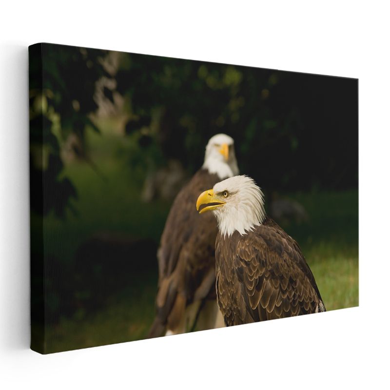 Kel Kartallar - Yan Yana Duran İkili Kanvas Tablo