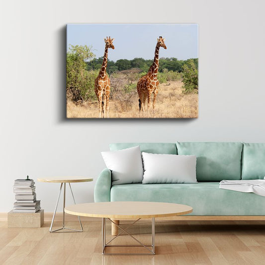 Zürafa Çifti - Bozkırda Uzun Boylu İkili Kanvas Tablo