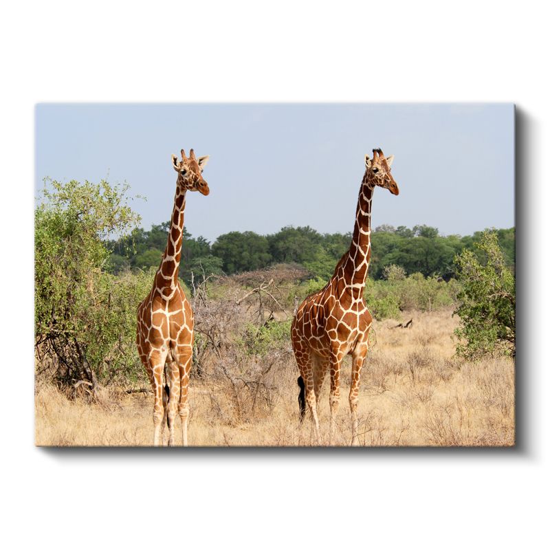 Zürafa Çifti - Bozkırda Uzun Boylu İkili Kanvas Tablo