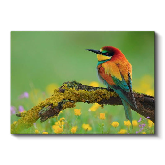Arı Yiyen Kuşu - Çiçekli Dalda Renkli Tüyler Kanva Tablo